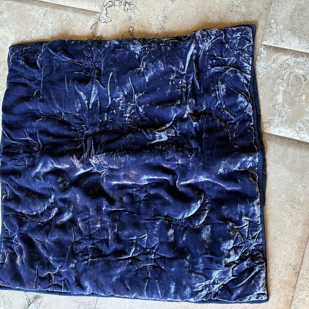 Pottery Barn Teen Blue Velvet euro sham x2